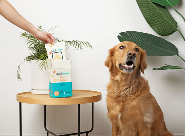 Wipemate Banner Image - Pet Grooming Wipes