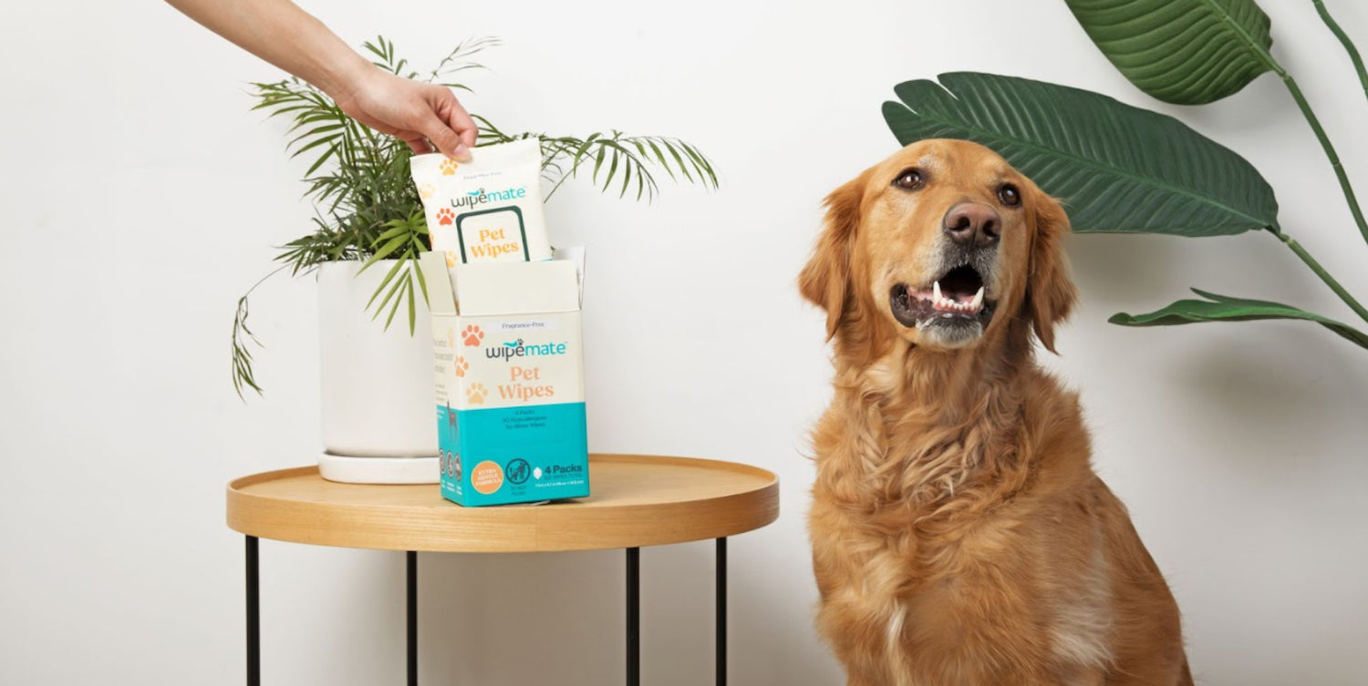 Wipemate Banner Image - Automatic Wipe Dispenser