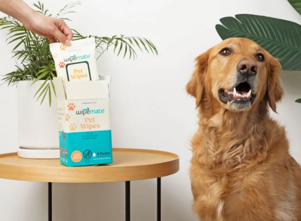 Wipemate Banner Image - Automatic Wipe Dispenser