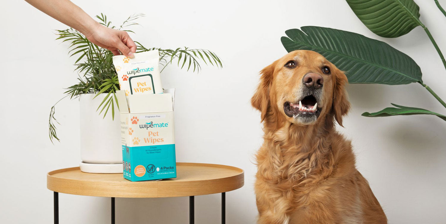 Wipemate Banner Image - Pet Grooming Wipes